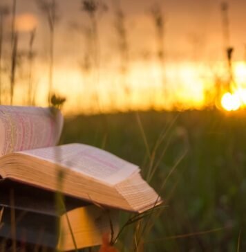 В США и Британии растет популярность книжных ретритов: люди платят по $1000