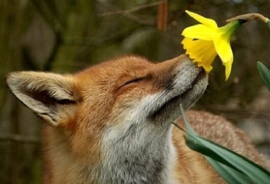 На Чернігівщині розпочався «сезон тиші»: скільки триватиме та що не можна робити