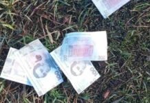 На Чернігівщині з БпЛА скинули фальшиві гроші з небезпечними QR-кодами