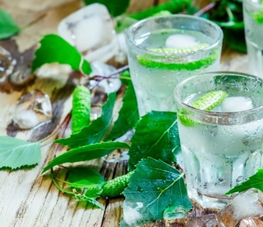 Від лісу до пляшки: як на Чернігівщині збирають березовий сік