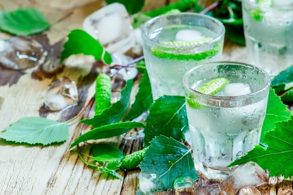 Від лісу до пляшки: як на Чернігівщині збирають березовий сік