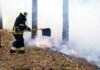 За добу на Чернігівщині сталося 17 пожеж: горіли ліси, будинки та авто