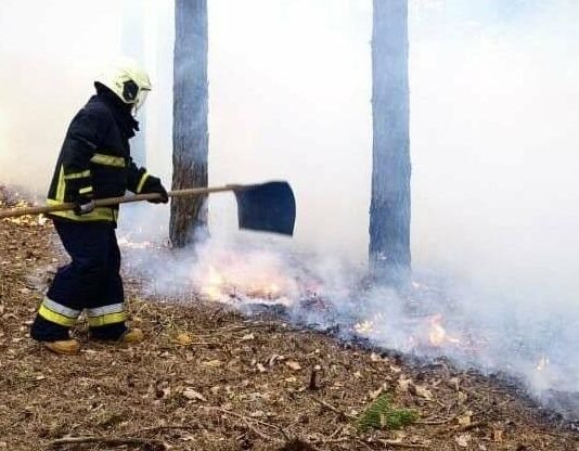 За добу на Чернігівщині сталося 17 пожеж: горіли ліси, будинки та авто
