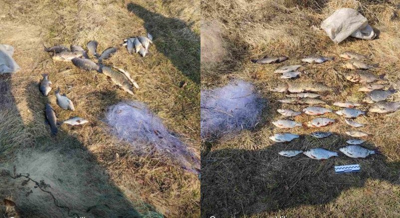 Натягав сітками риби на майже 50 тис грн: на Чернігівщині спіймали браконьєра