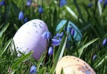 Температурні гойдалки: коли на Чернігівщині потеплішає до +20°