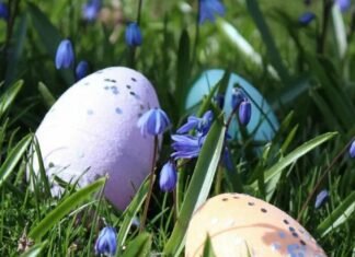 Температурні гойдалки: коли на Чернігівщині потеплішає до +20°