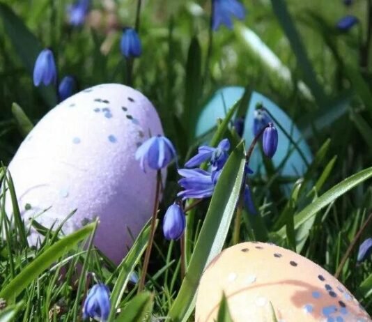 Температурні гойдалки: коли на Чернігівщині потеплішає до +20°