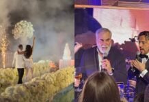 С Галкиным, Меладзе и Рики Мартином: в Каннах состоялась «самая дорогая свадьба года» украинской модели (фото)