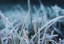 Заморозки не закончатся в апреле: синоптик рассказала, какой будет погода в начале мая