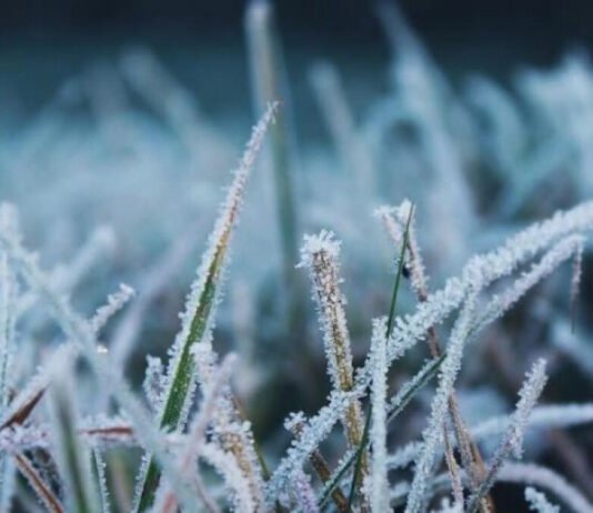 Заморозки не закончатся в апреле: синоптик рассказала, какой будет погода в начале мая