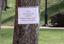 У Чернігові просять не вигулювати собак на Валу: що варто знати власникам тварин