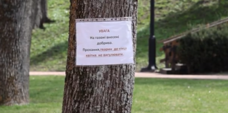 У Чернігові просять не вигулювати собак на Валу: що варто знати власникам тварин