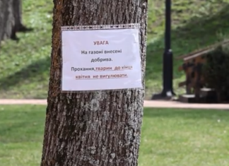 У Чернігові просять не вигулювати собак на Валу: що варто знати власникам тварин