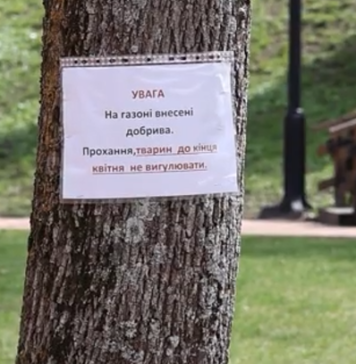 У Чернігові просять не вигулювати собак на Валу: що варто знати власникам тварин