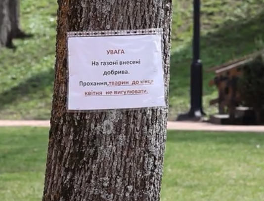 У Чернігові просять не вигулювати собак на Валу: що варто знати власникам тварин