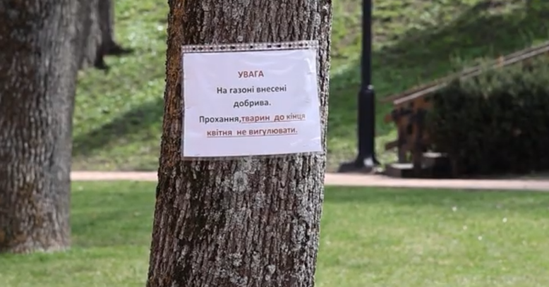 У Чернігові просять не вигулювати собак на Валу: що варто знати власникам тварин