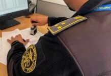 Вместо двух проверок — одна: правительство упростило техосмотр для международных перевозчиков