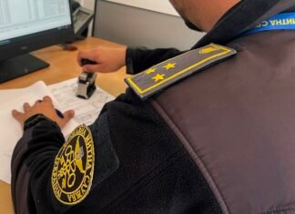 Вместо двух проверок — одна: правительство упростило техосмотр для международных перевозчиков