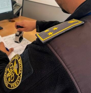 Вместо двух проверок — одна: правительство упростило техосмотр для международных перевозчиков