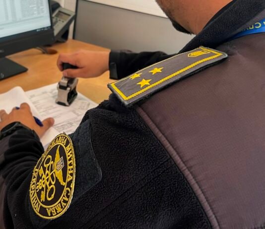 Вместо двух проверок — одна: правительство упростило техосмотр для международных перевозчиков