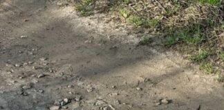 У Чернігові дорогою до школи дитина знайшла ручну гранату (Фото)