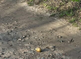 У Чернігові дорогою до школи дитина знайшла ручну гранату (Фото)