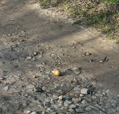 У Чернігові дорогою до школи дитина знайшла ручну гранату (Фото)