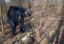 У трьох районах Чернігівщини знайшли вибухонебезпечні предмети