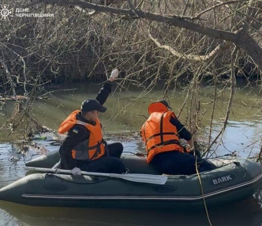 Рятувальники дістали тіло чоловіка з водойми на Чернігівщині
