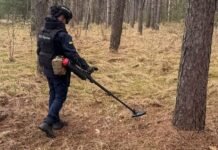 За добу на Чернігівщині знешкодили 5 вибухонебезпечних предметів