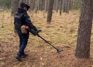 За добу на Чернігівщині знешкодили 5 вибухонебезпечних предметів