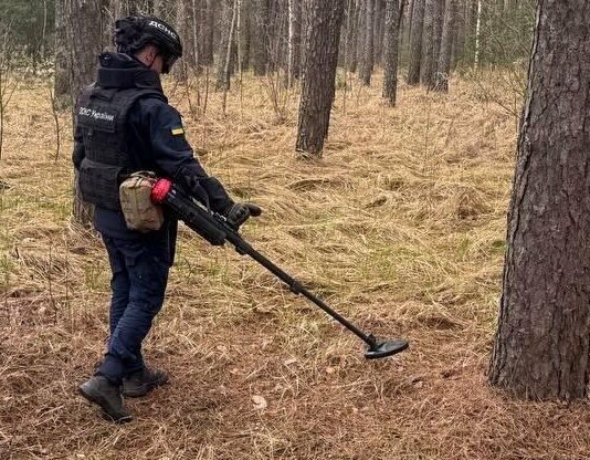 За добу на Чернігівщині знешкодили 5 вибухонебезпечних предметів