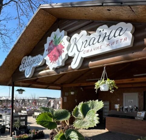 Квадратні кавуни та чернігівські полуниці в травні: чим дивуватиме «Ягідна країна» цьогоріч