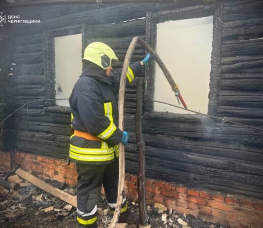 Трагедія в селі на Чернігівщині: недопалок забрав життя двох людей