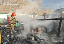 На Чернігівщині за добу ліквідували 11 пожеж і п’ять разів виїжджали на розмінування