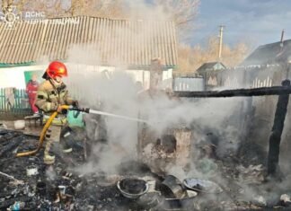 На Чернігівщині за добу ліквідували 11 пожеж і п’ять разів виїжджали на розмінування