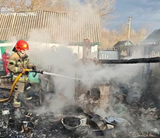 На Чернігівщині за добу ліквідували 11 пожеж і п’ять разів виїжджали на розмінування