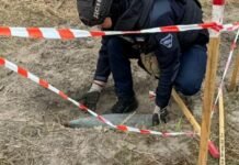 На Чернігівщині за добу ДСНСники ліквідували 8 вибухонебезпечних предметів