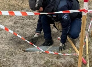 На Чернігівщині за добу ДСНСники ліквідували 8 вибухонебезпечних предметів