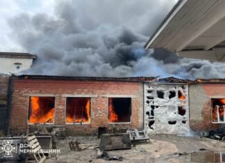 Армія рф атакувала дронами аграрне підприємство на Чернігівщині: спалахнула пожежа