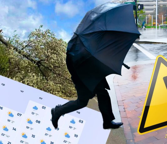 Холод, шквалы и ливни: когда в Украину наконец-то вернется весеннее тепло