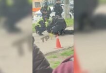 У Чернігові вилучили стартовий пістолет: інформація про стрілянину по дітях не підтвердилася