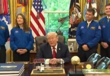 «Я предложил небольшое перемирие»: Трамп прокомментировал разговор с Путиным