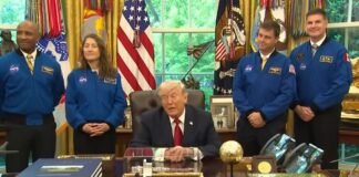 «Я предложил небольшое перемирие»: Трамп прокомментировал разговор с Путиным