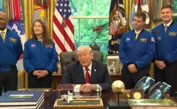 «Я предложил небольшое перемирие»: Трамп прокомментировал разговор с Путиным