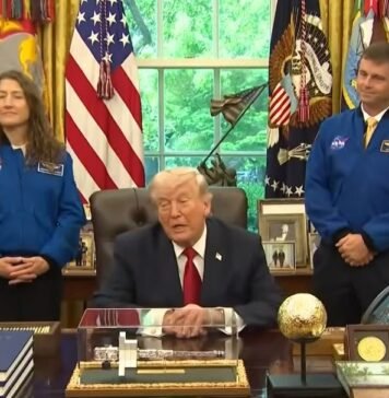 «Я предложил небольшое перемирие»: Трамп прокомментировал разговор с Путиным