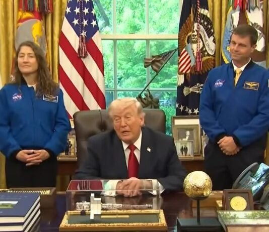 «Я предложил небольшое перемирие»: Трамп прокомментировал разговор с Путиным