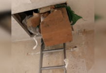 Переселенцы нашли клад в доме, купленном во Франции за 10 тысяч евро: «Стали миллионерами»