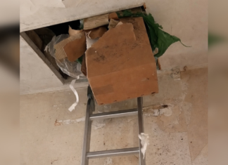 Переселенцы нашли клад в доме, купленном во Франции за 10 тысяч евро: «Стали миллионерами»