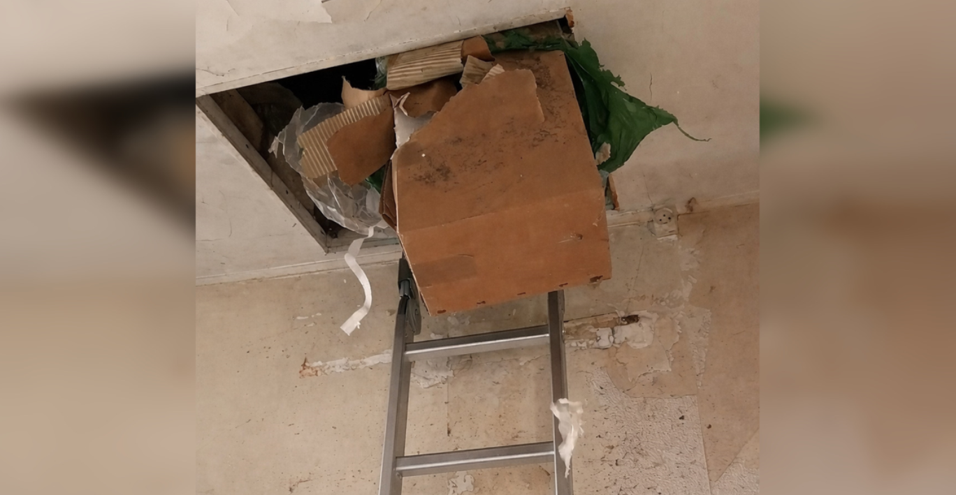 Переселенцы нашли клад в доме, купленном во Франции за 10 тысяч евро: «Стали миллионерами»